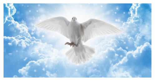The Baptism of the Holy Spirit